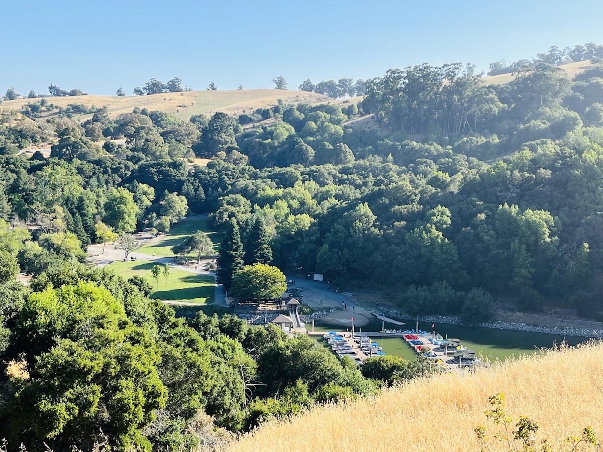 Lake Chabot Regional Park photo 4
