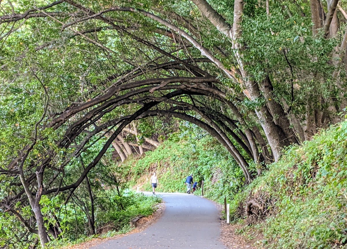 Lake Chabot Regional Park photo 5