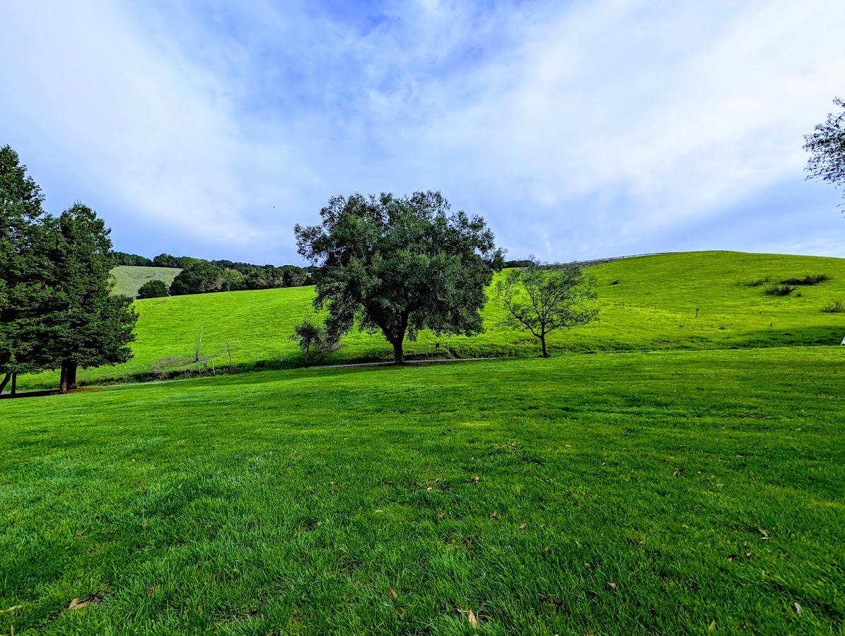 Lake Chabot Regional Park photo 8