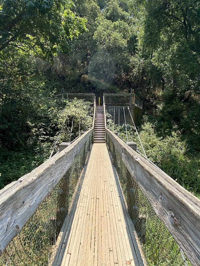 Lake Chabot Regional Park photo 10