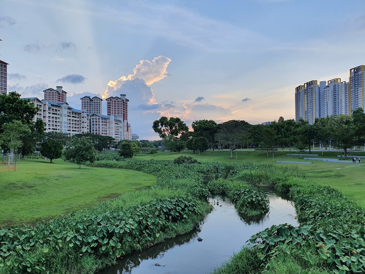 Bishan-Ang Mo Kio Park photo 2