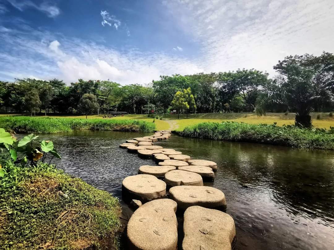 Bishan-Ang Mo Kio Park photo 5