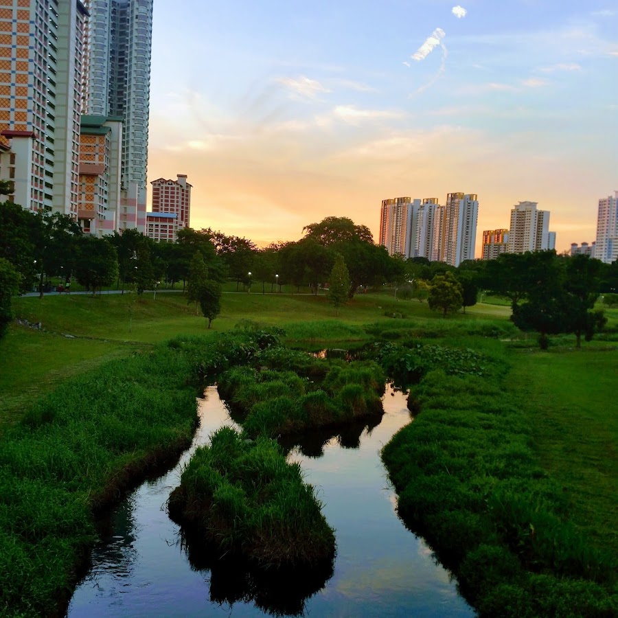 Bishan-Ang Mo Kio Park photo 6