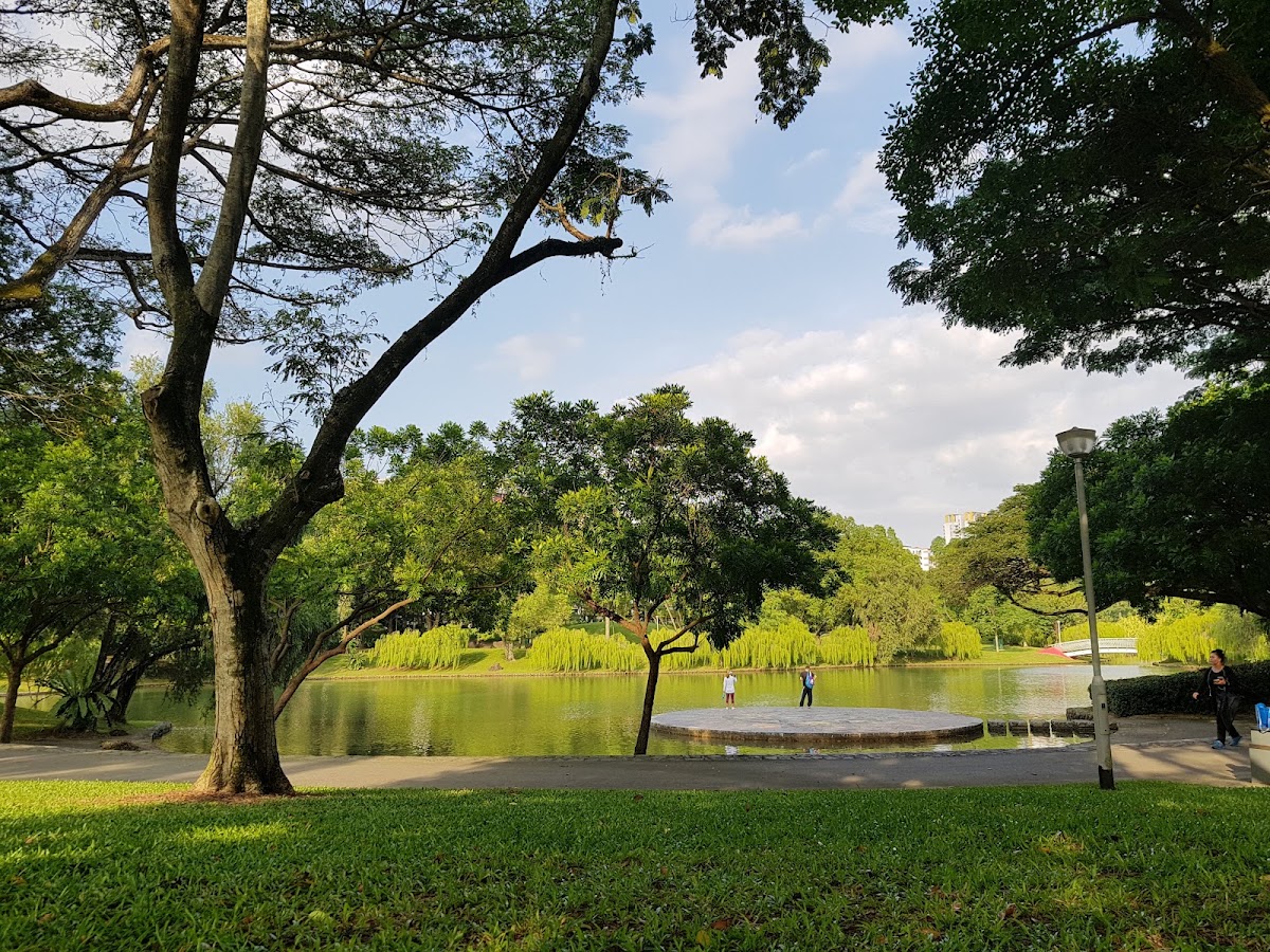 Bishan-Ang Mo Kio Park photo 7
