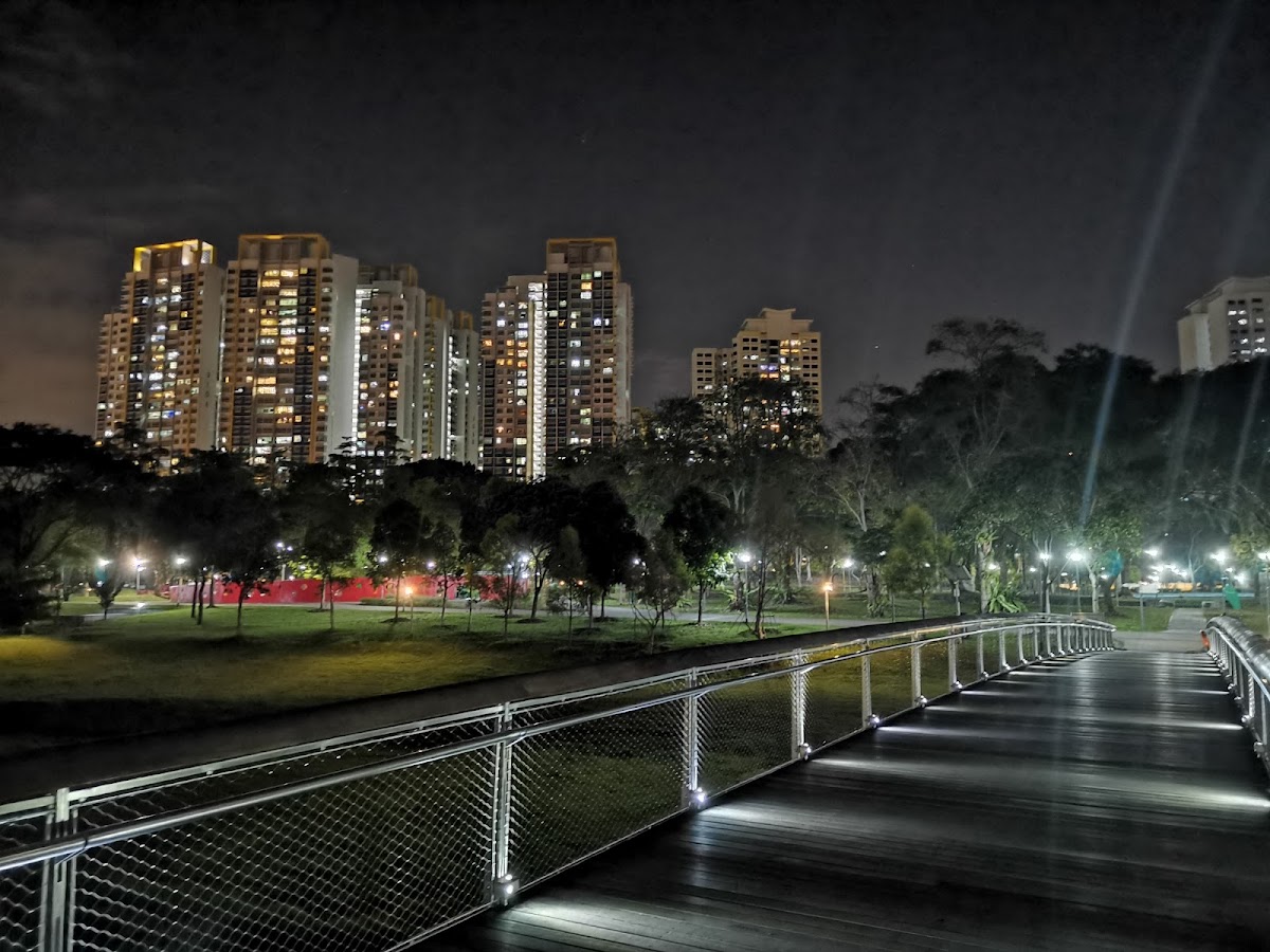 Bishan-Ang Mo Kio Park photo 8