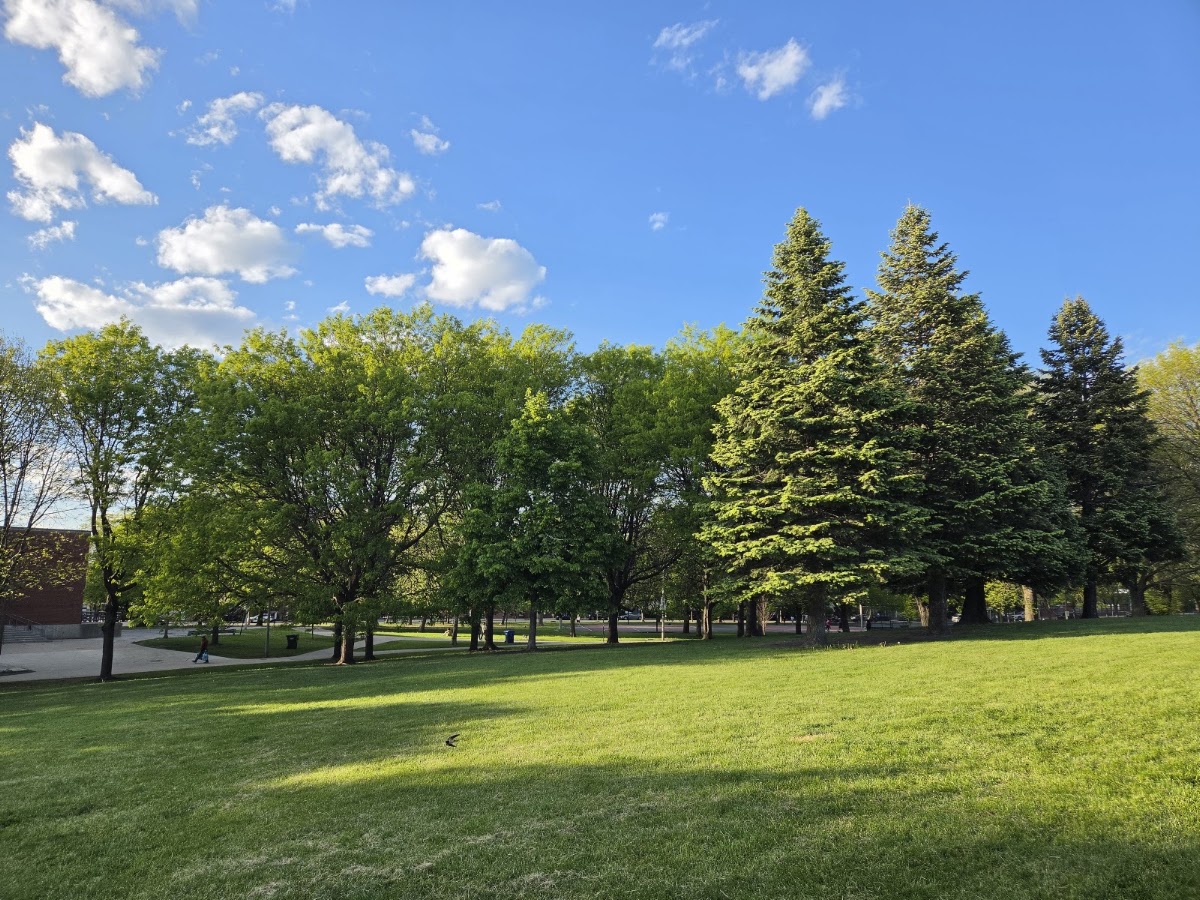Horner (Henry) Park photo 3