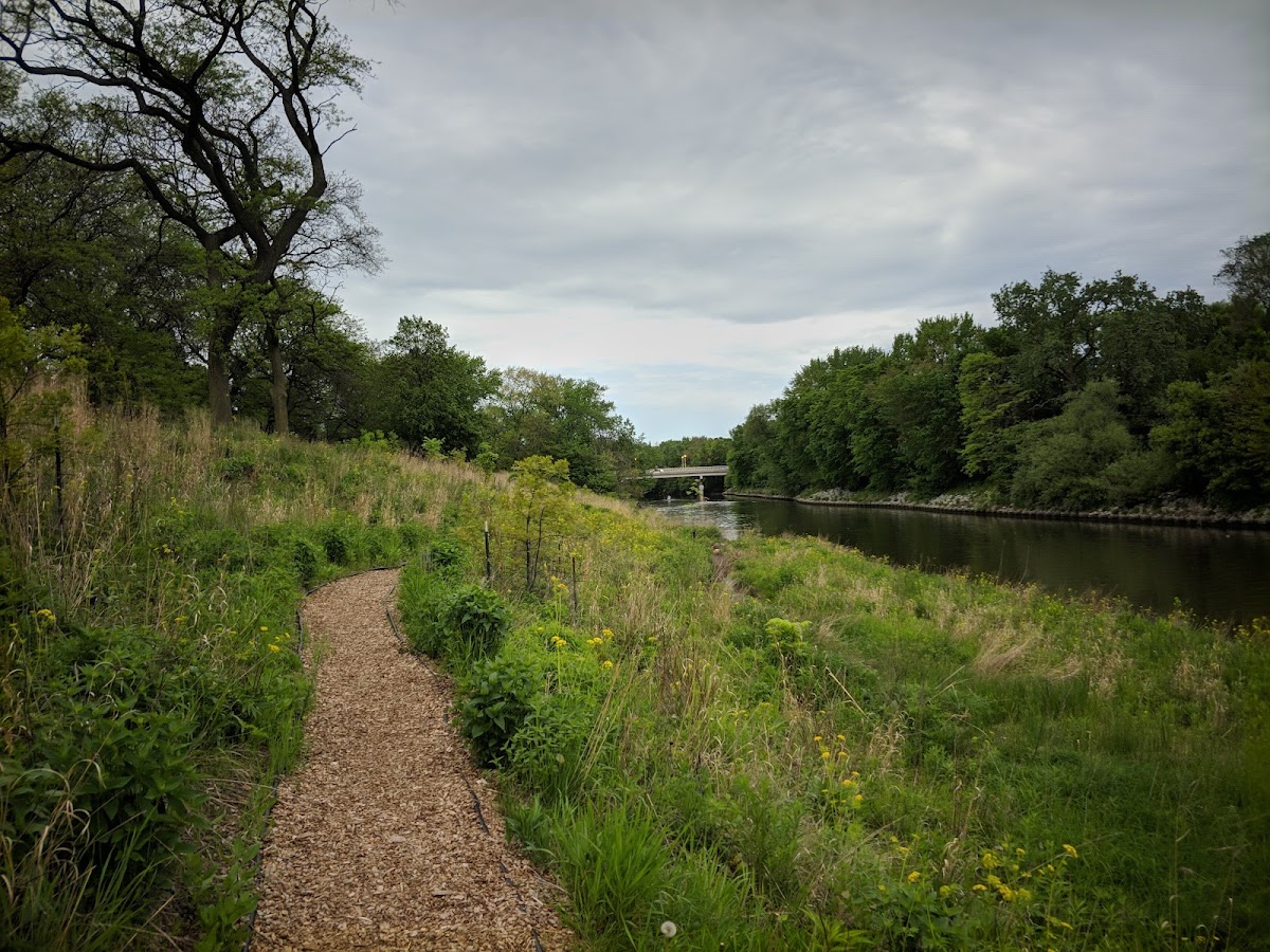 Horner (Henry) Park photo 6