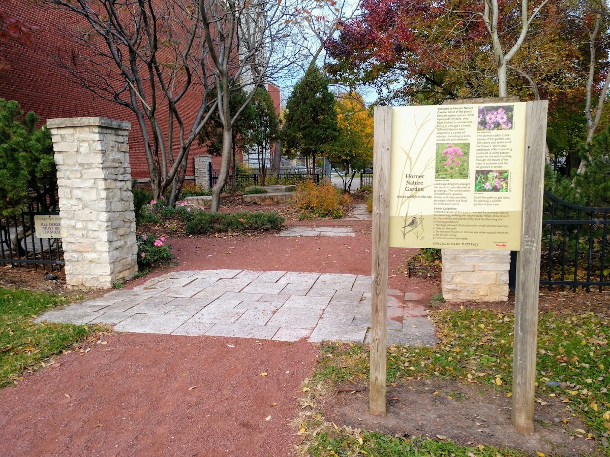 Horner (Henry) Park photo 8