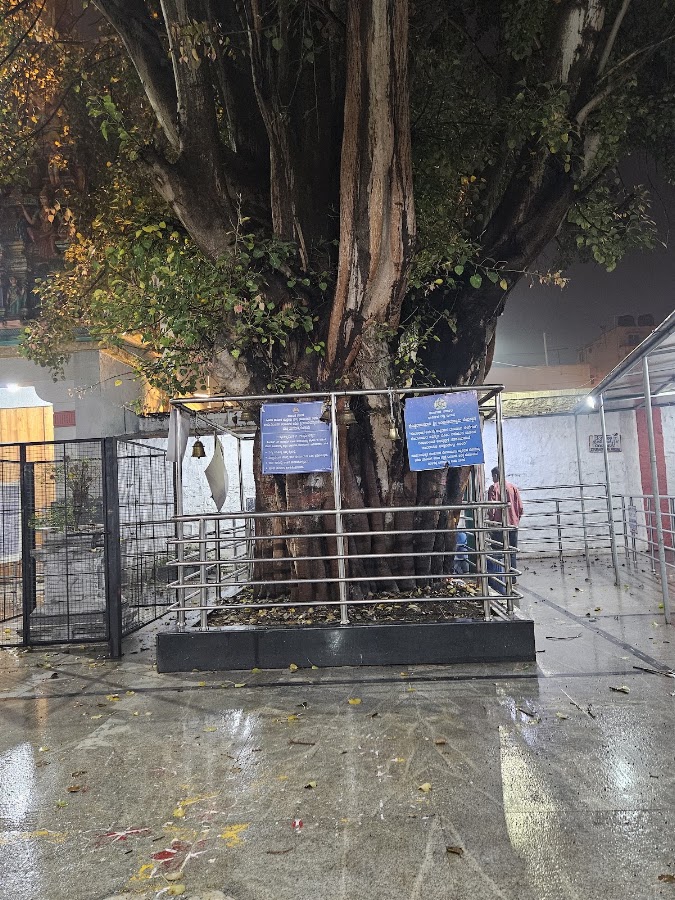 Sri Anjaneya Swamy Temple photo 10