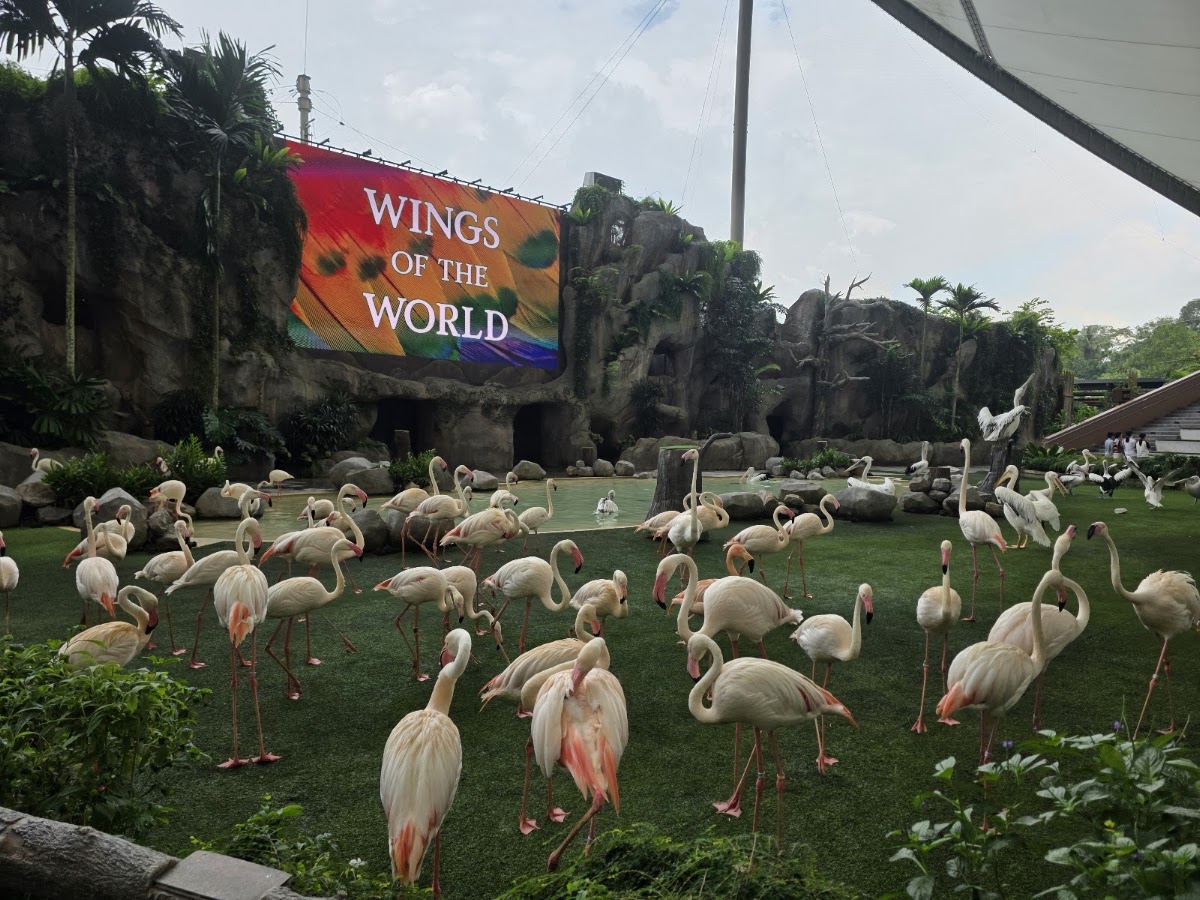 Bird Paradise photo 3