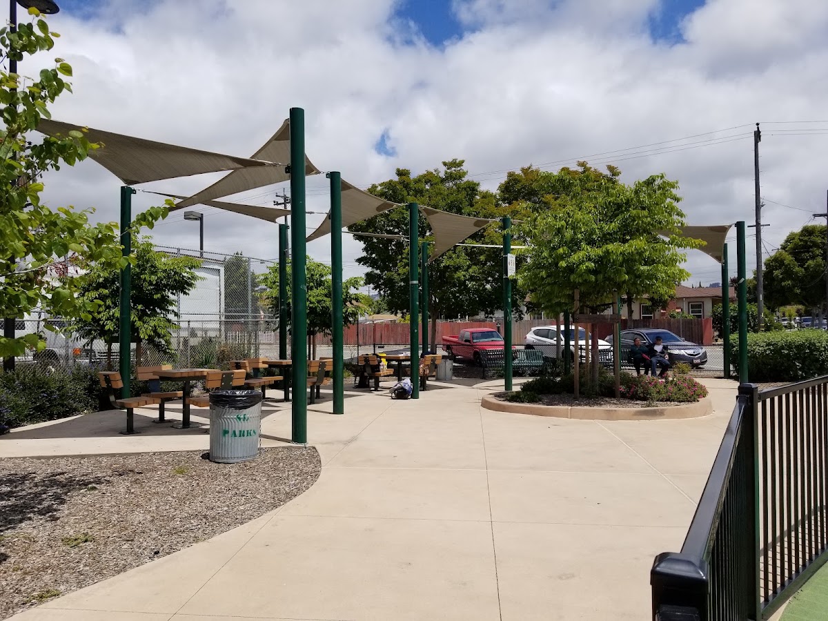 Siempre Verde Park photo 2