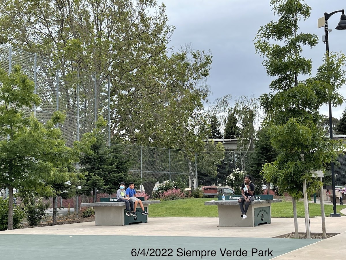 Siempre Verde Park photo 6