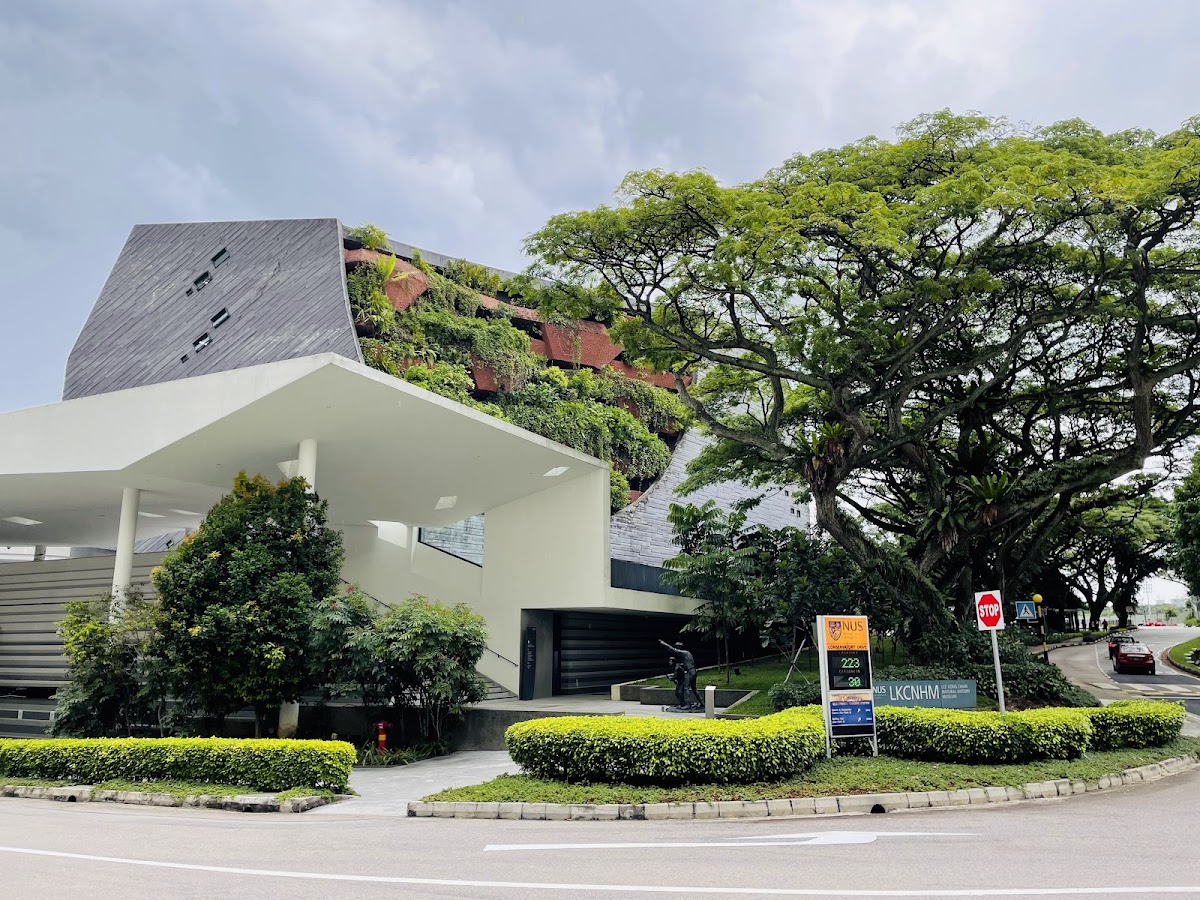 Lee Kong Chian Natural History Museum, Singapore photo 3