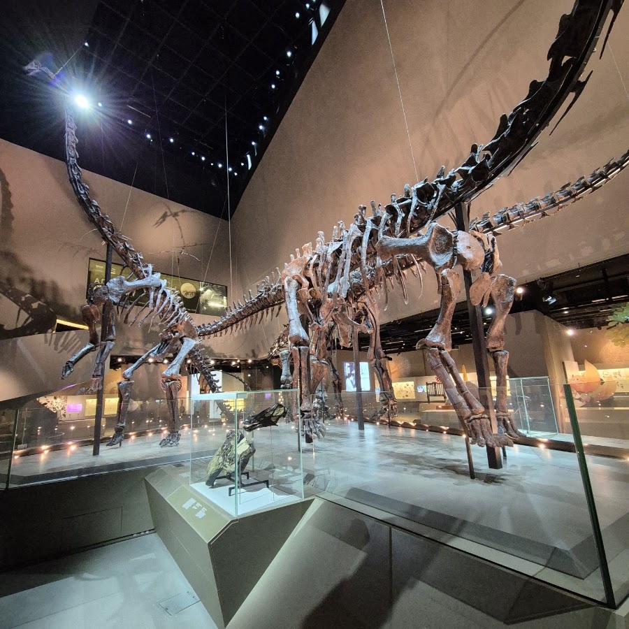 Lee Kong Chian Natural History Museum, Singapore photo 6