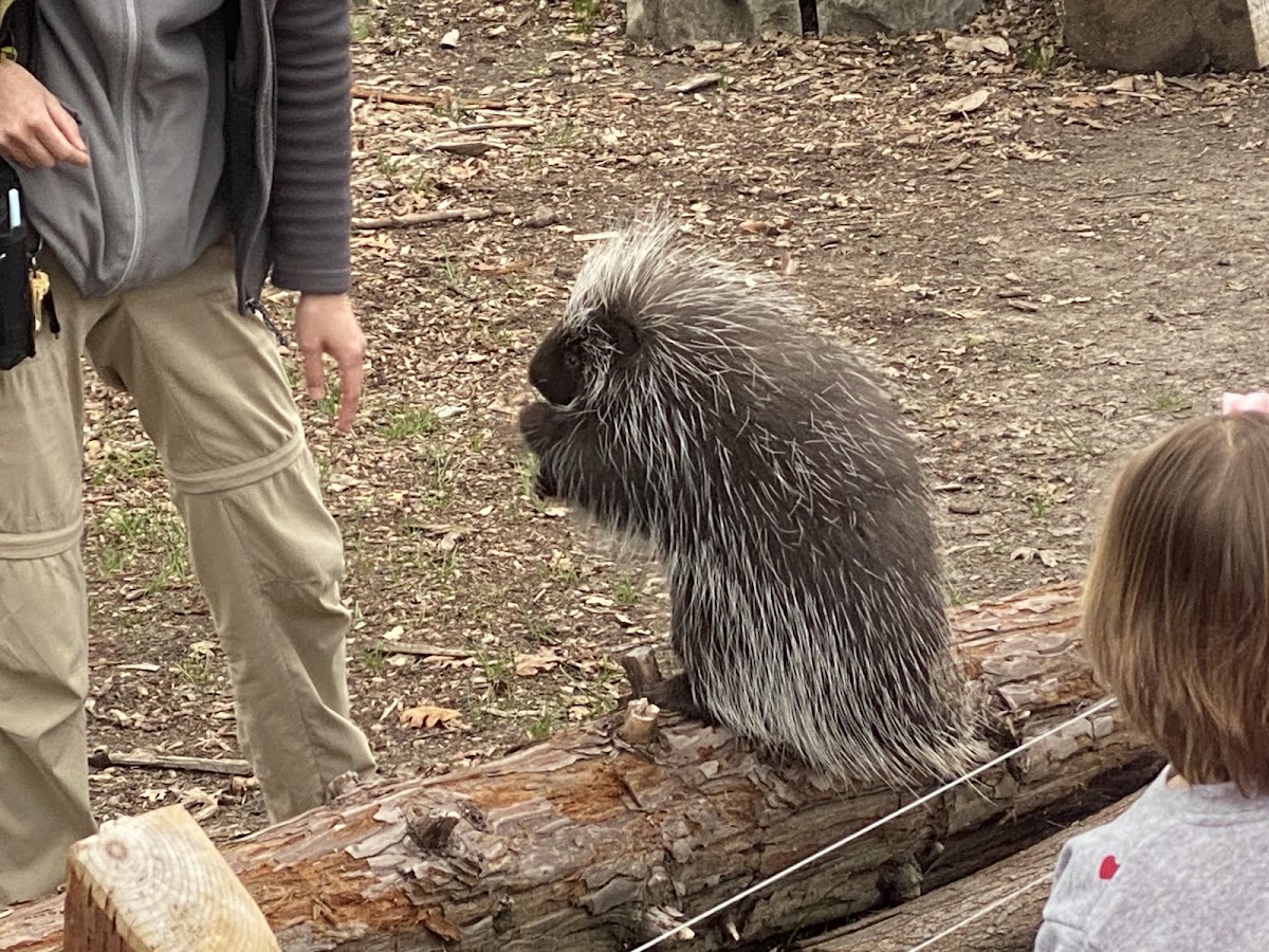 Lindsay Wildlife Experience photo 5