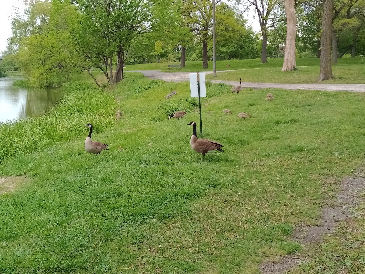 Columbus (Christopher) Park photo 10