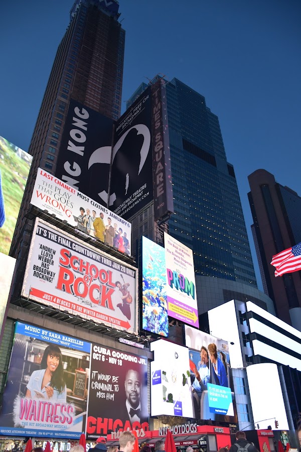 Times Square photo 10
