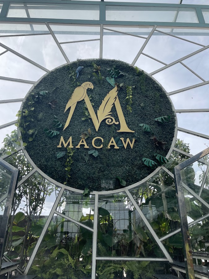Macaw By Stories photo 6