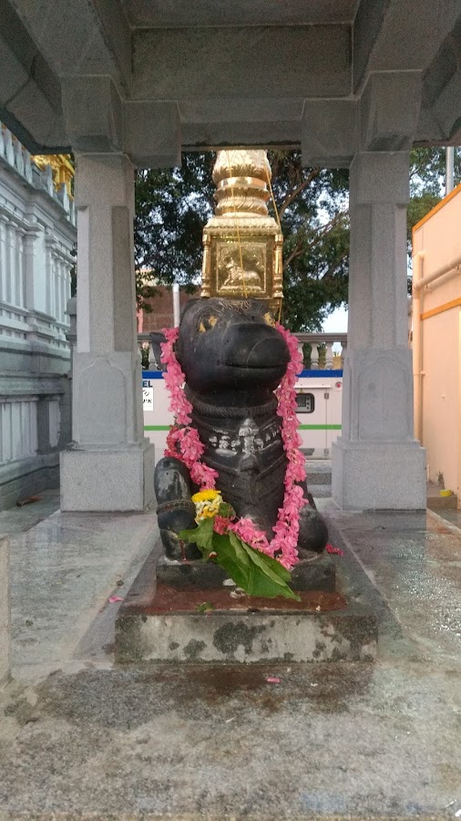 Shri Kote Venkateshwara Swamy Devasthana, K.R. Pura photo 10