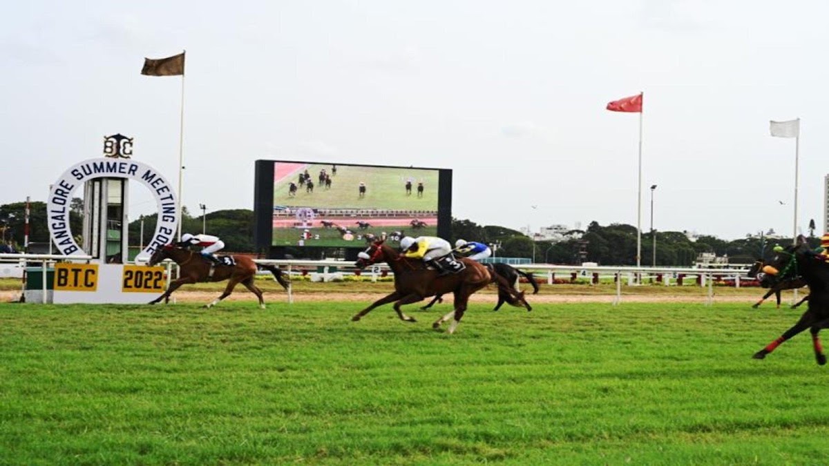 Holiday Inn Bengaluru Racecourse by IHG photo 9