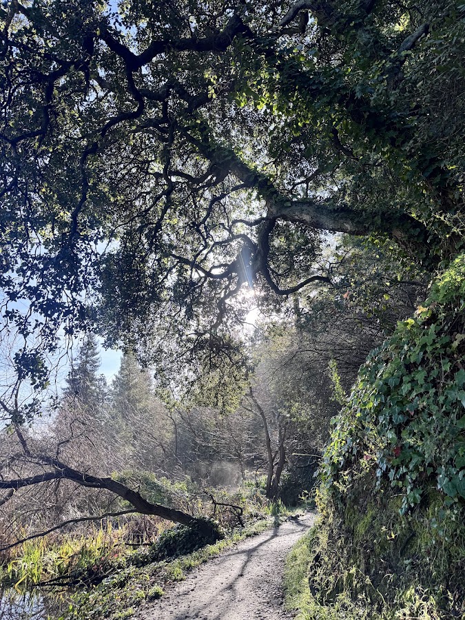 Temescal Regional Recreation Area photo 4