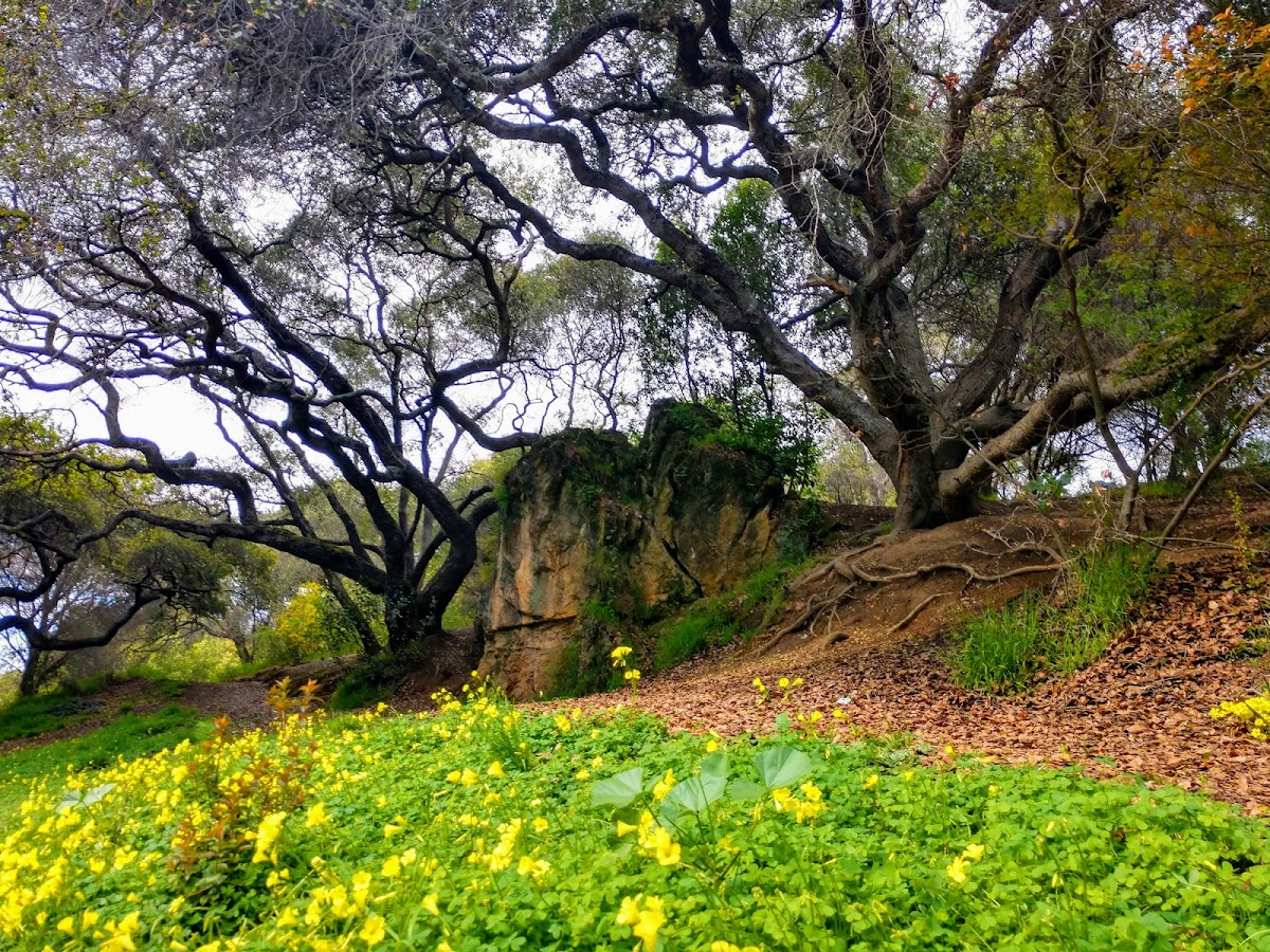 Temescal Regional Recreation Area photo 5