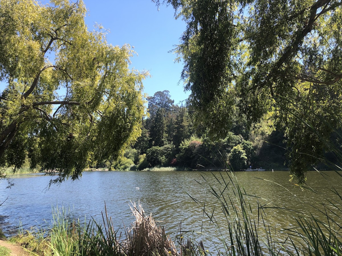 Temescal Regional Recreation Area photo 7