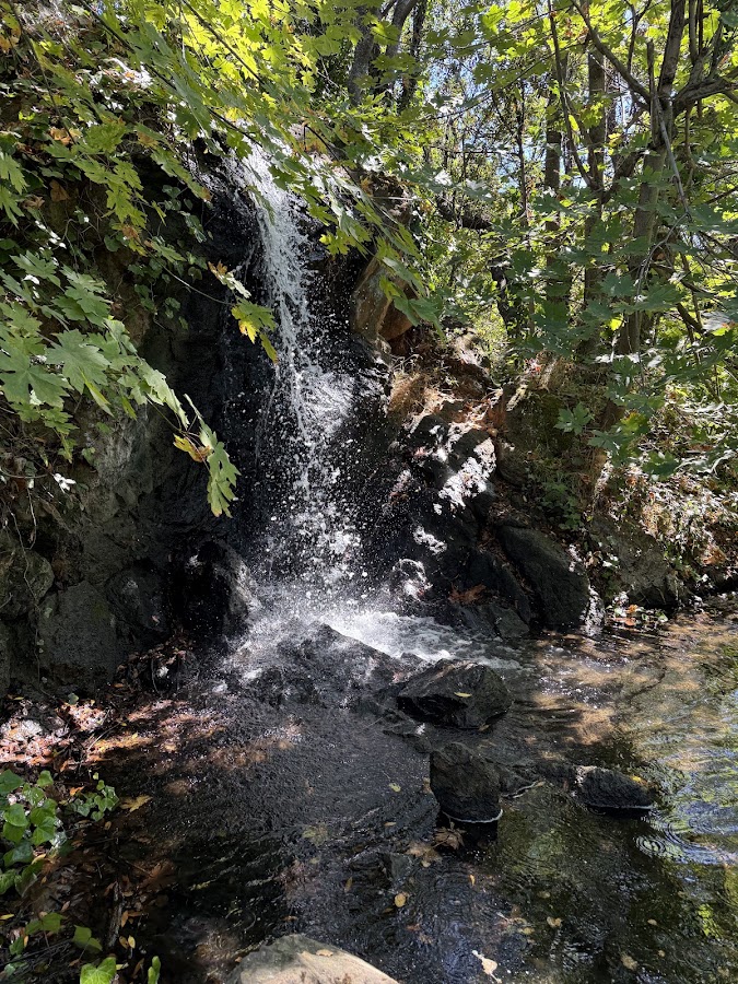 Temescal Regional Recreation Area photo 8
