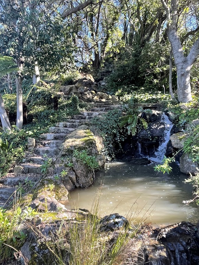 Temescal Regional Recreation Area photo 9