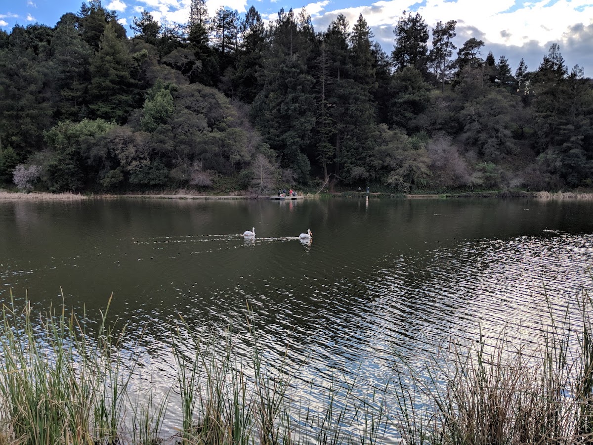 Temescal Regional Recreation Area photo 10