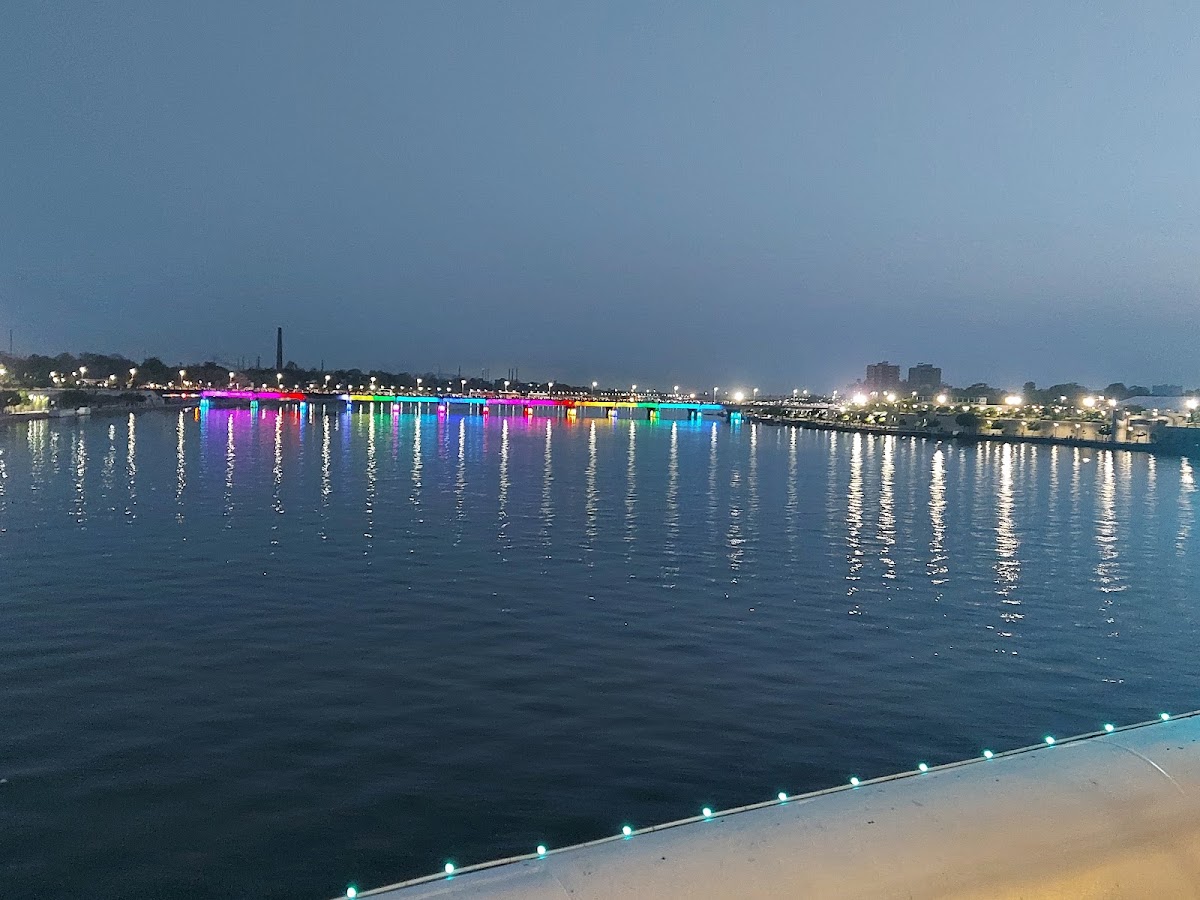 Atal Bridge photo 4