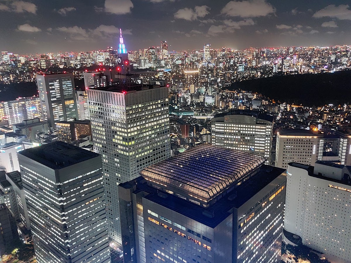 North Observation Deck, Tokyo Metropolitan Government Building No. 1 photo 7