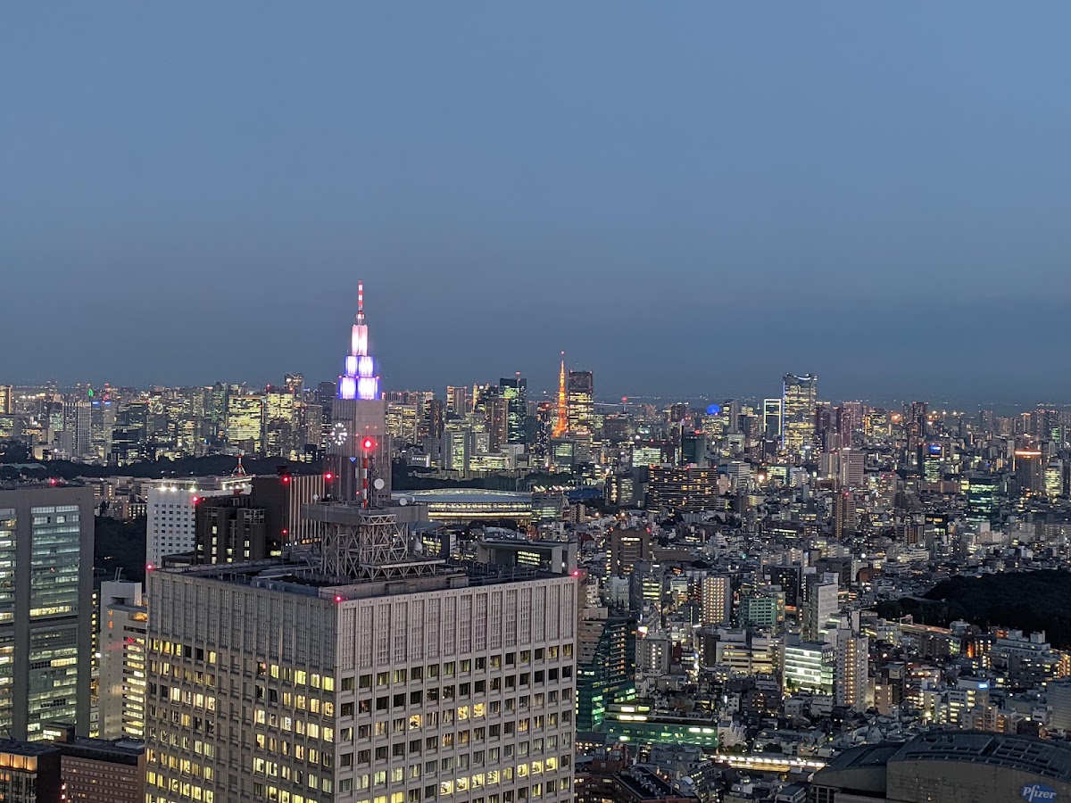 North Observation Deck, Tokyo Metropolitan Government Building No. 1 photo 8