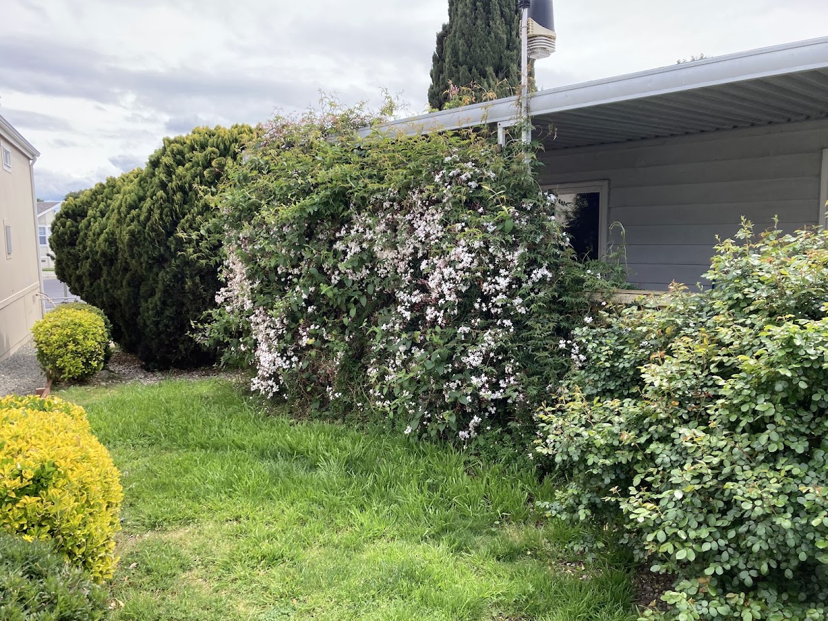 Tropics Mobile Home Park photo 9