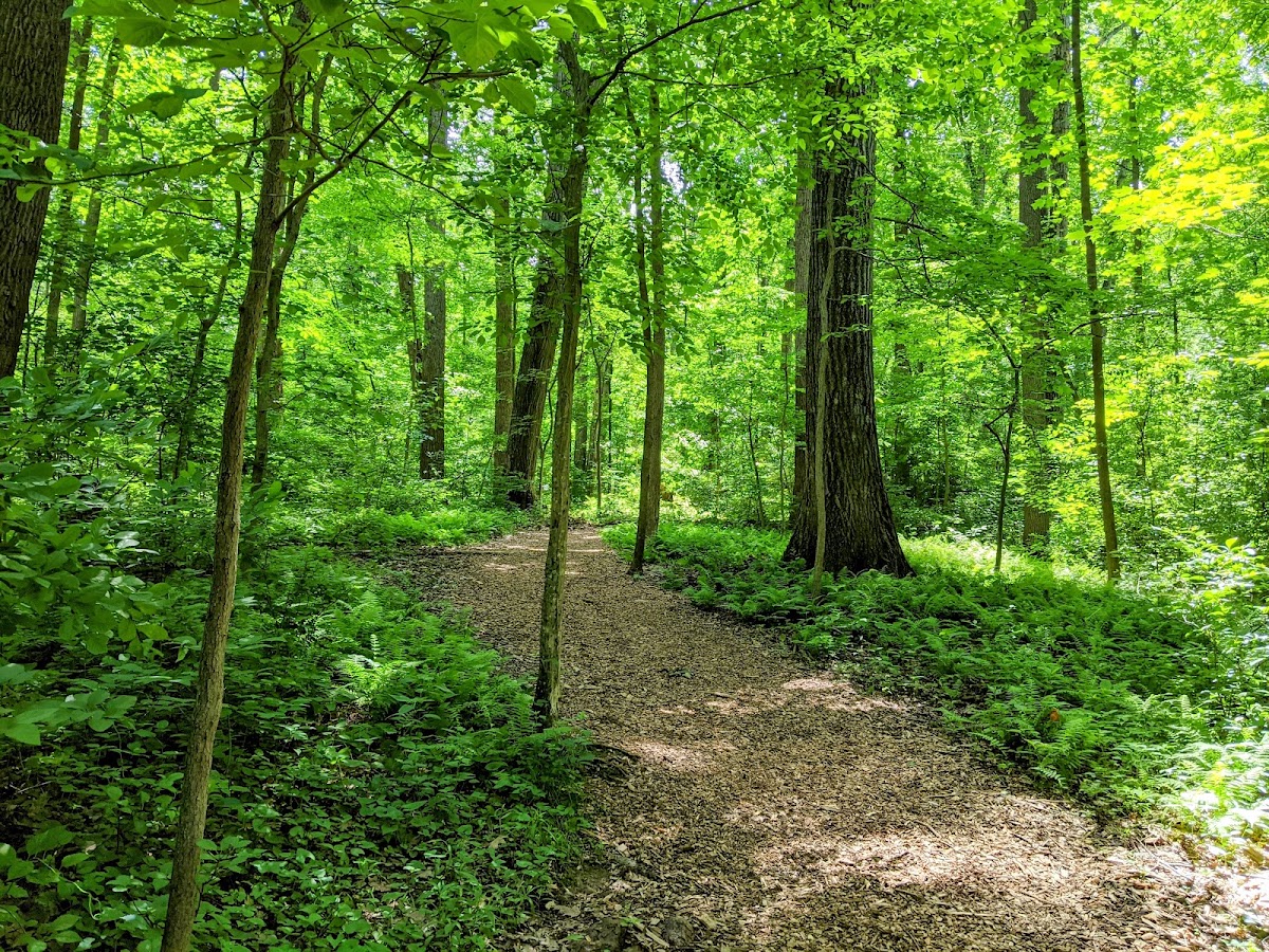 Brookside Nature Center photo 4