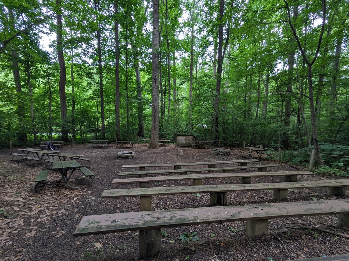 Brookside Nature Center photo 5