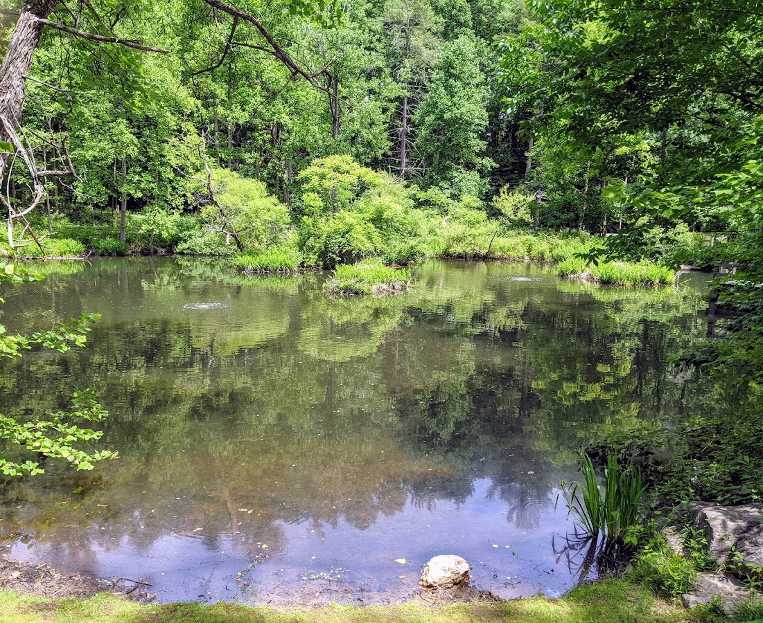 Brookside Nature Center photo 6