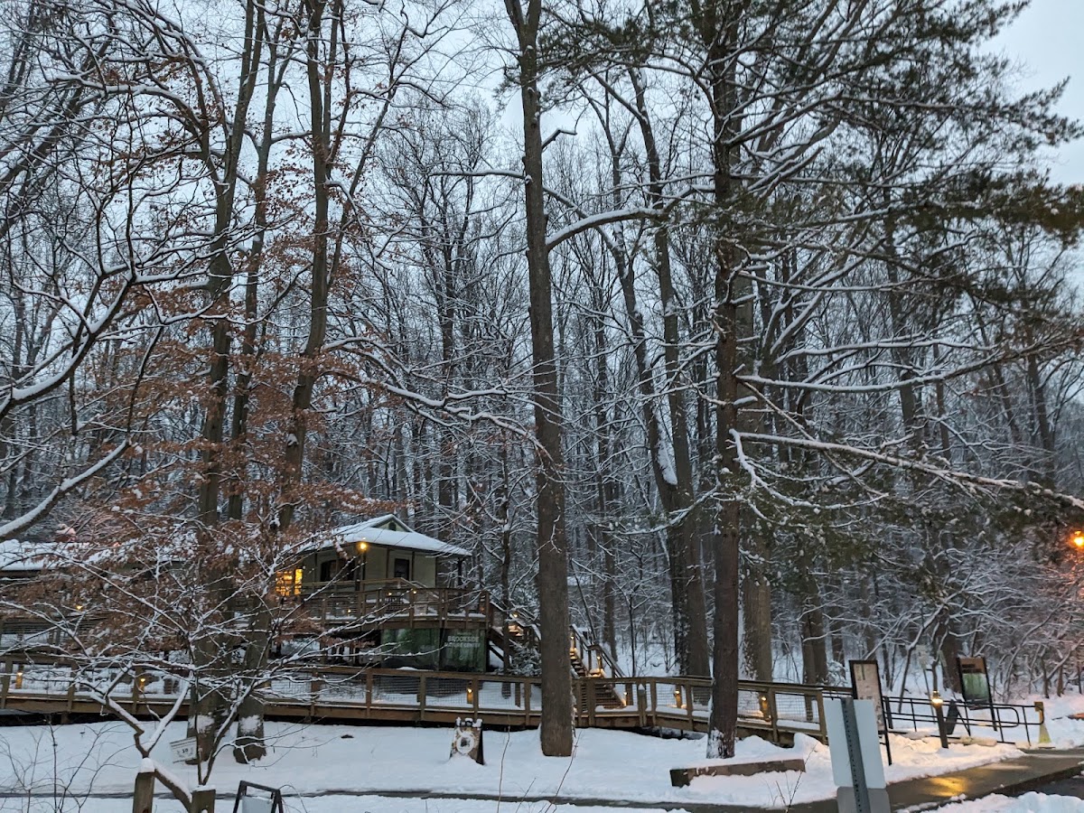 Brookside Nature Center photo 7