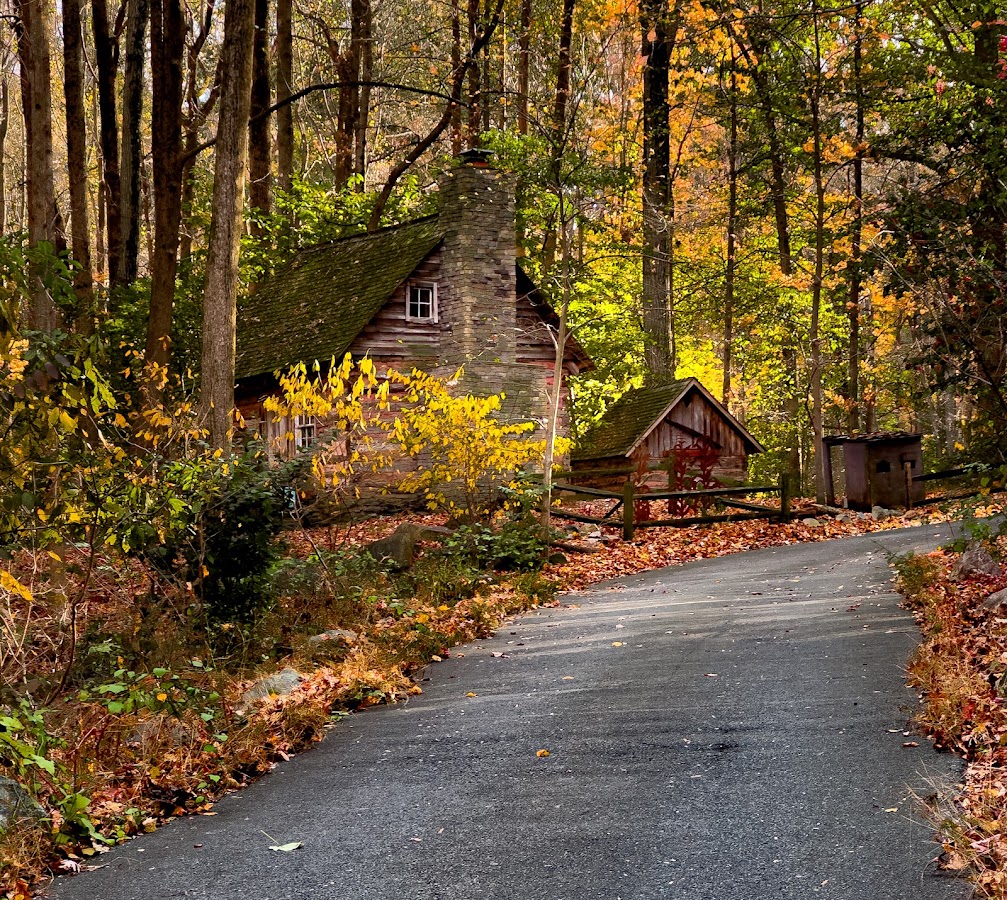 Brookside Nature Center photo 9