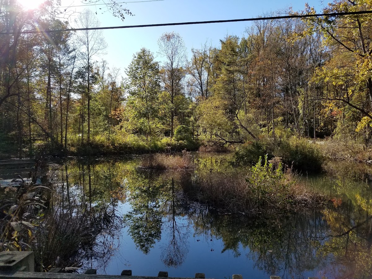 Brookside Nature Center photo 10