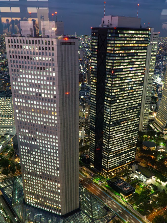 Tokyo Metropolitan Government Building photo 5