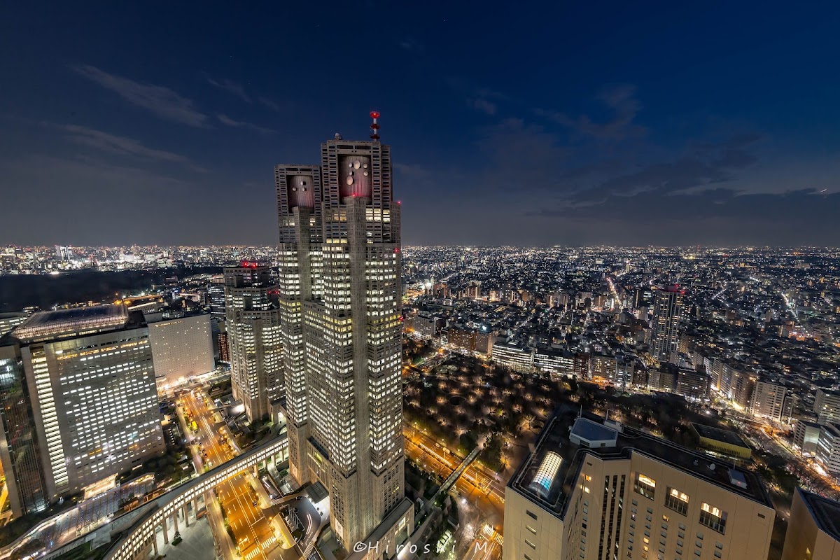 Tokyo Metropolitan Government Building photo 8