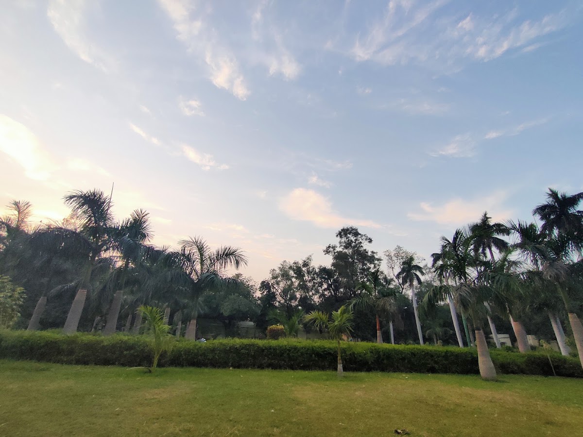 Buddha Garden photo 7