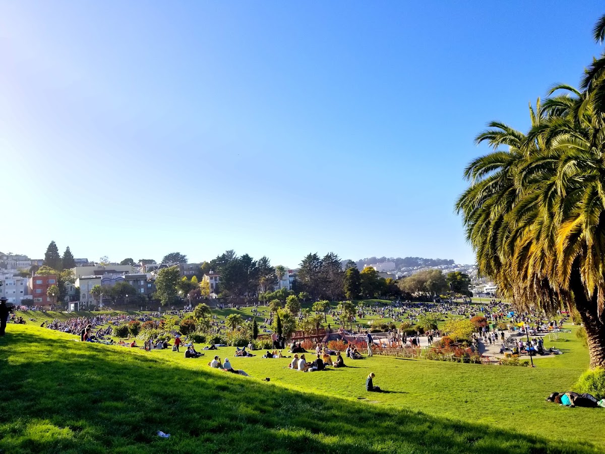 Mission Dolores Park photo 8
