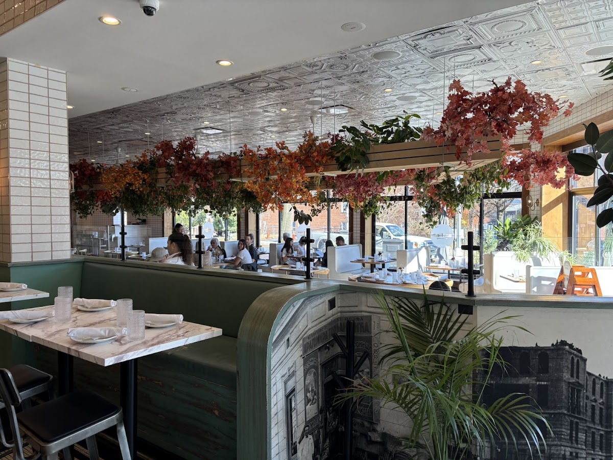 AMBAR Restaurant, Clarendon photo 7