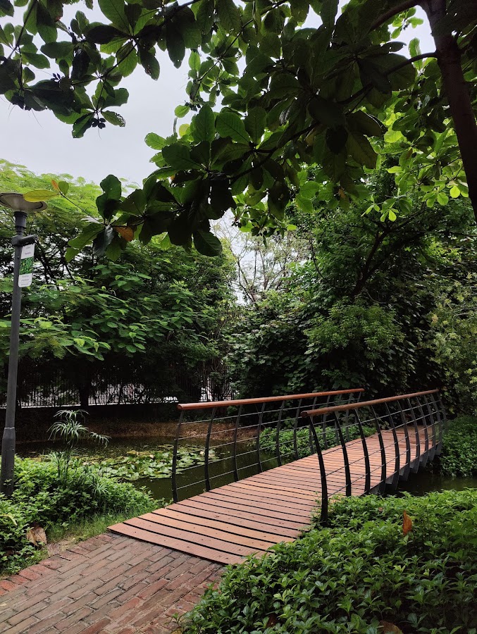 Symphony Forest Park photo 8