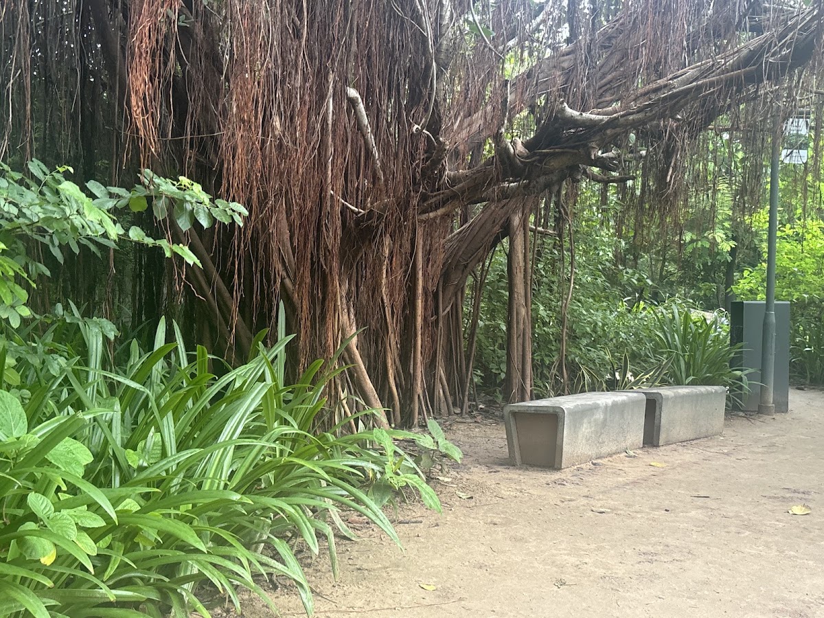 Symphony Forest Park photo 9