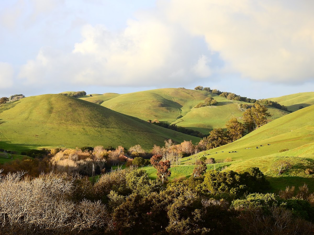 Garin Regional Park photo 2