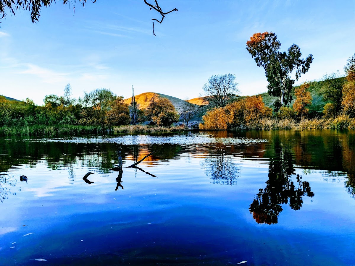 Garin Regional Park photo 3