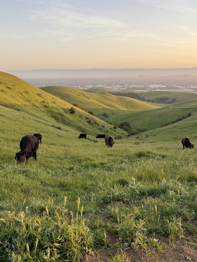 Garin Regional Park photo 4
